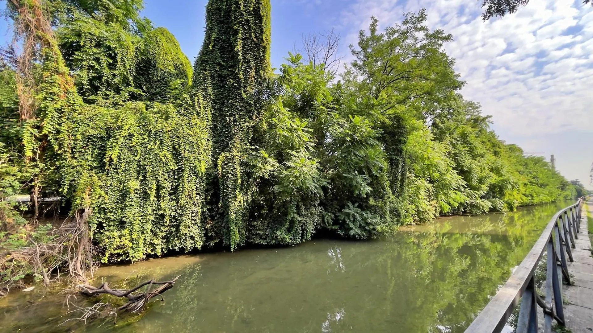 Best Way Rent - Beautiful Apartment On Naviglio Martesana Milan