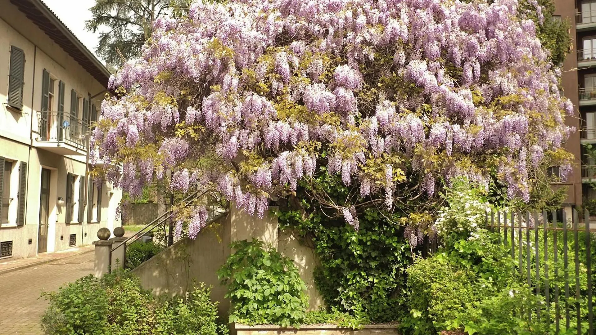 Best Way Rent - Beautiful Apartment On Naviglio Martesana Milan Italy